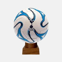 Tottenham Hotspur FC Football Urn