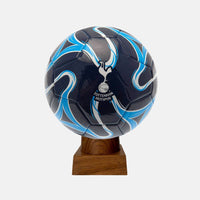 Tottenham Hotspur FC Football Urn